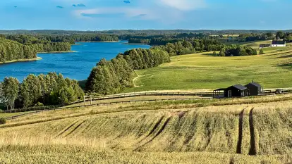 Oazie Żuraw - zdjęcie 13