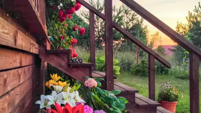 Domek Nad Buwełnem - zdjęcie 21