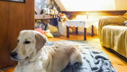 Stary Dom, a może? - zdjęcie 16