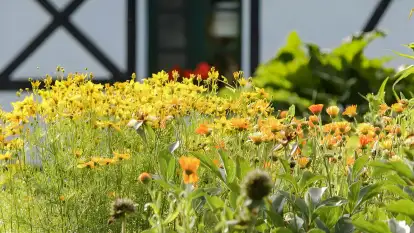 Szwajcaria Mazurska - zdjęcie 5