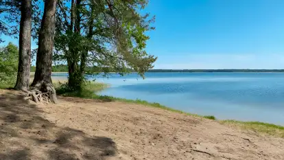 Polana Życzeń Camping - zdjęcie 15