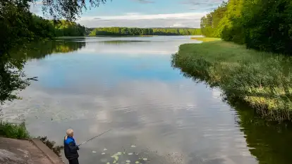 Polana Życzeń Camping - zdjęcie 16