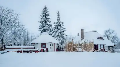 Dworek Króla Stanisława - zdjęcie 39