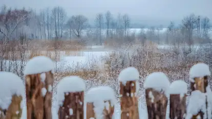 Dworek Króla Stanisława - zdjęcie 41