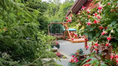 Domek pod Lasem z sauną i banią - zdjęcie 17