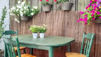 Agroturystyka Ostoja Kamionki - zdjęcie 14