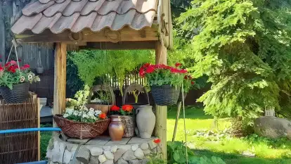 Agroturystyka Ostoja Kamionki - zdjęcie 5