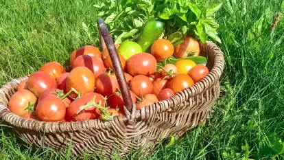 Agroturystyka Ostoja Kamionki - zdjęcie 25