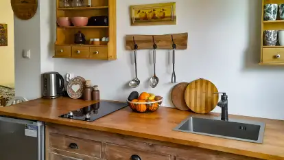 Agroturystyka Ostoja Kamionki - zdjęcie 18