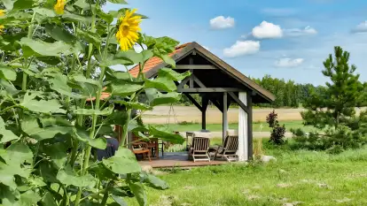 Agroturystyka Ostoja Kamionki - zdjęcie 24