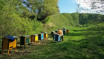 Folwark Perły - zdjęcie 59