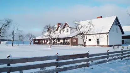 Siedlisko Sabinowo - zdjęcie 46