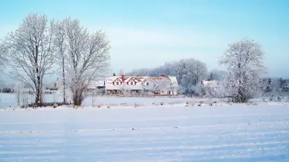 Siedlisko Sabinowo - zdjęcie 47