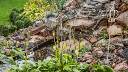 Siedlisko Sabinowo - zdjęcie 41