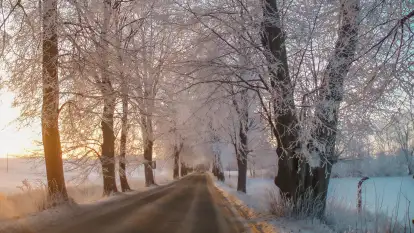 Siedlisko Sabinowo - zdjęcie 49