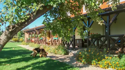 Siedlisko Sabinowo - zdjęcie 39