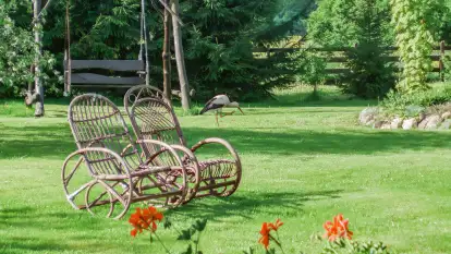 Siedlisko Sabinowo - zdjęcie 52