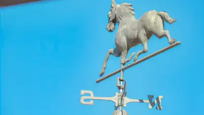 Siedlisko Sabinowo - zdjęcie 45