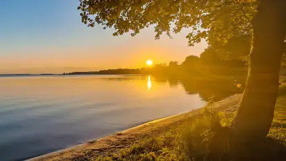 Świerkowa Ostoja - zdjęcie 25