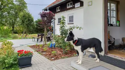 Pensjonat Magdacz - zdjęcie 8