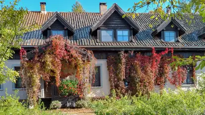 Folwark Perły - zdjęcie 36