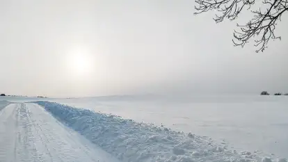 Folwark Perły - zdjęcie 74