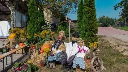 Folwark Perły - zdjęcie 61