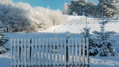 Folwark Perły - zdjęcie 72