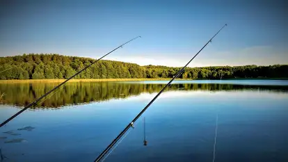 Pasterzewo 19 - zdjęcie 26