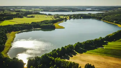 Pasterzewo 19 - zdjęcie 48