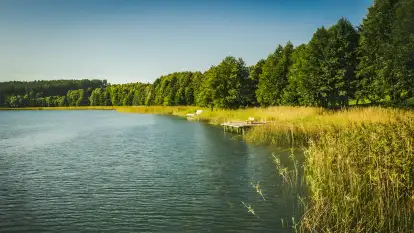 Pasterzewo 19 - zdjęcie 50