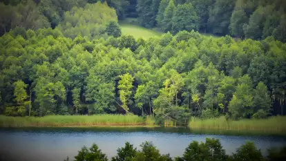 Pasterzewo 19 - zdjęcie 51