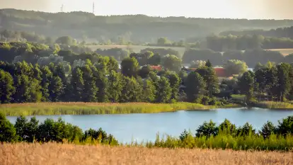 Pasterzewo 19 - zdjęcie 55