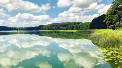 Pasterzewo 19 - zdjęcie 68