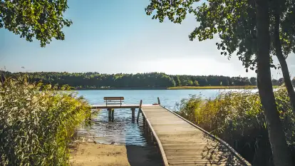 Pasterzewo 19 - zdjęcie 20