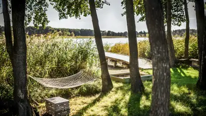 Pasterzewo 19 - zdjęcie 70