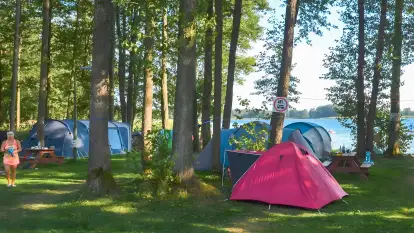 Pole Namiotowe Świerkowa Skarpa - zdjęcie 14