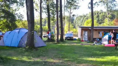 Pole Namiotowe Świerkowa Skarpa - zdjęcie 3