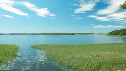 Świerkowa Skarpa - zdjęcie 18