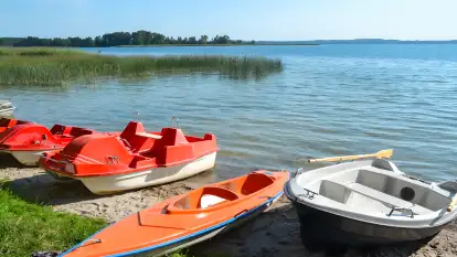 Świerkowa Skarpa - zdjęcie 3