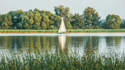 Świerkowa Skarpa - zdjęcie 22