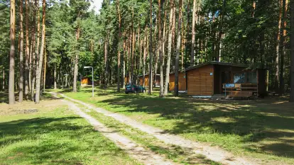 Świerkowa Skarpa - zdjęcie 4