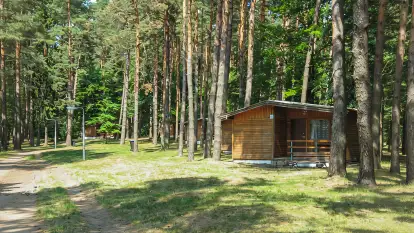 Świerkowa Skarpa - zdjęcie 28