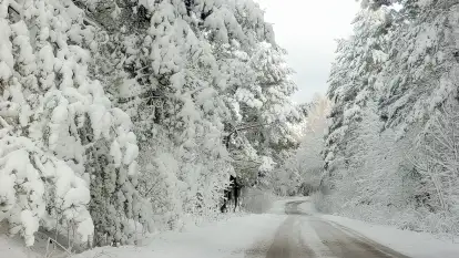 Stara Szkoła w Harszu - zdjęcie 60