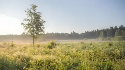 Mazurski Folwark - zdjęcie 77