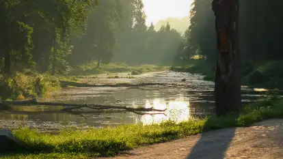 Dwór Klewiny - zdjęcie 30