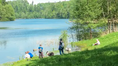 Dwór Klewiny - zdjęcie 29