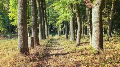 Dwór Klewiny - zdjęcie 34