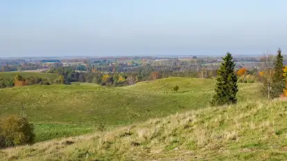 Dwór Klewiny - zdjęcie 35