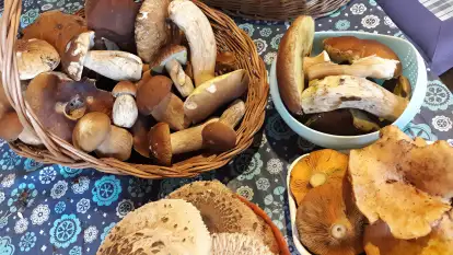 Czułe Miejsce - zdjęcie 27